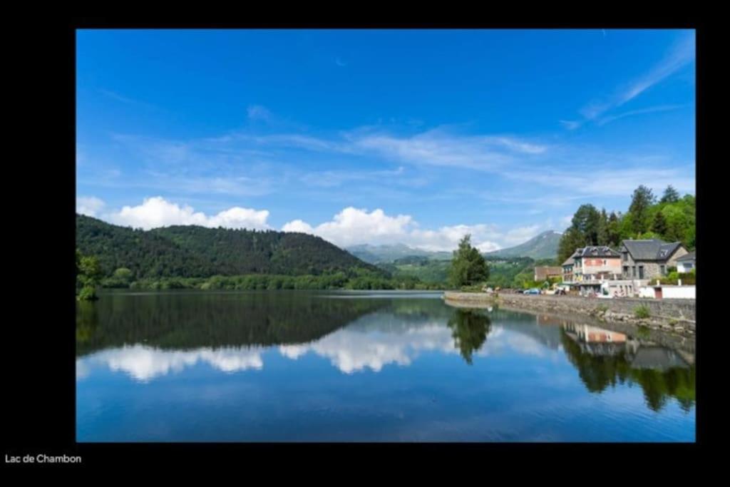 Appt Lumineux, Thermes Et Montagne La Bourboule Bagian luar foto