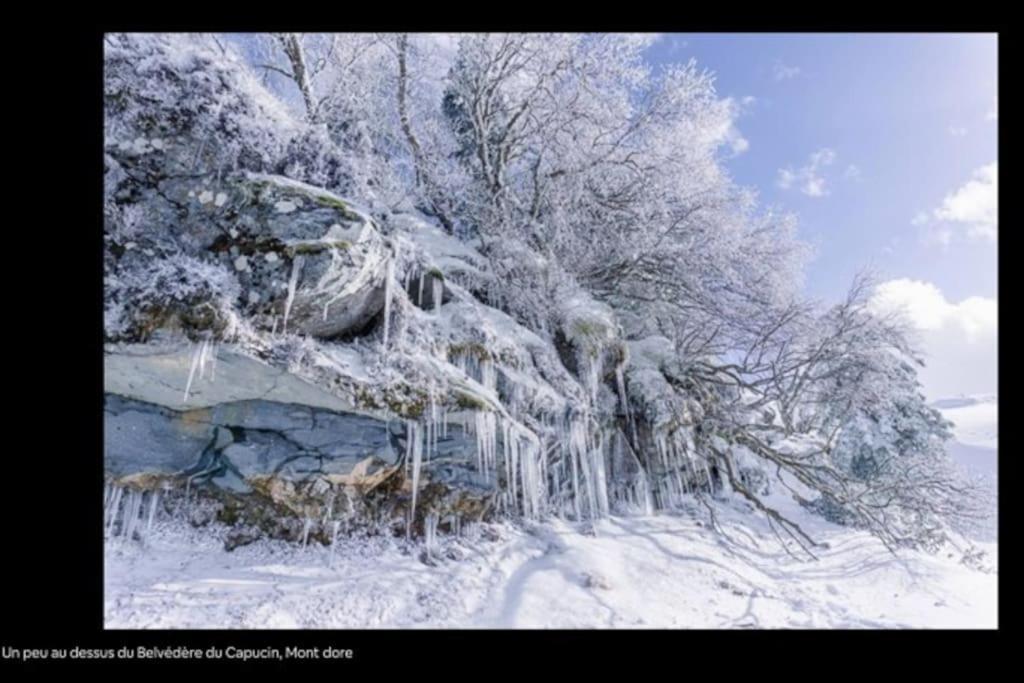 Appt Lumineux, Thermes Et Montagne La Bourboule Bagian luar foto