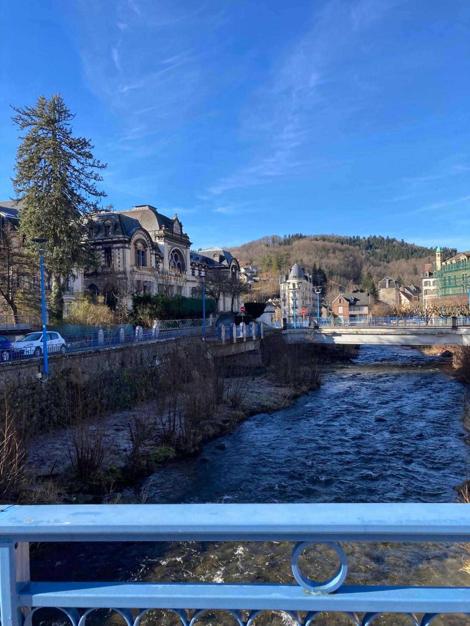 Appt Lumineux, Thermes Et Montagne La Bourboule Bagian luar foto