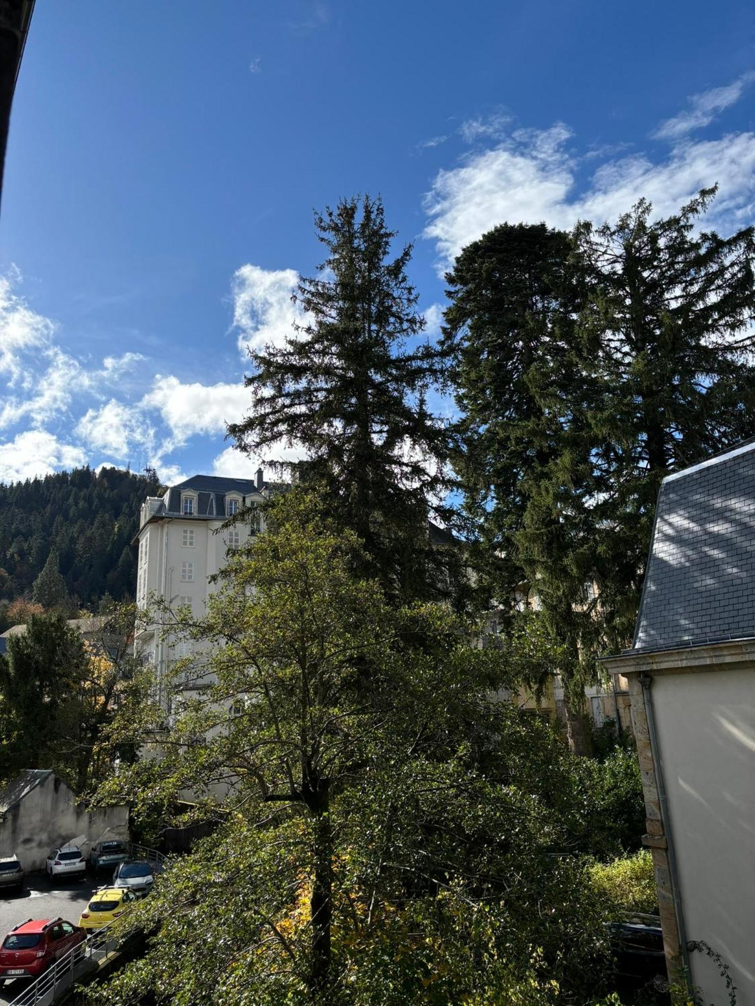 Appt Lumineux, Thermes Et Montagne La Bourboule Bagian luar foto
