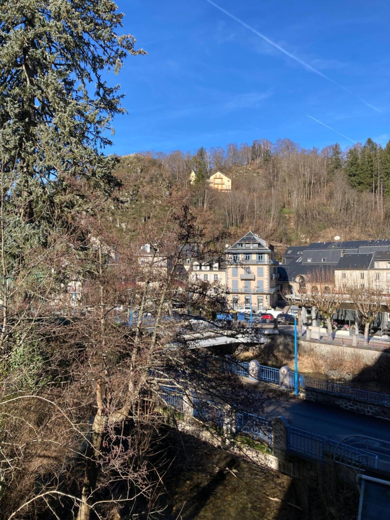 Appt Lumineux, Thermes Et Montagne La Bourboule Bagian luar foto